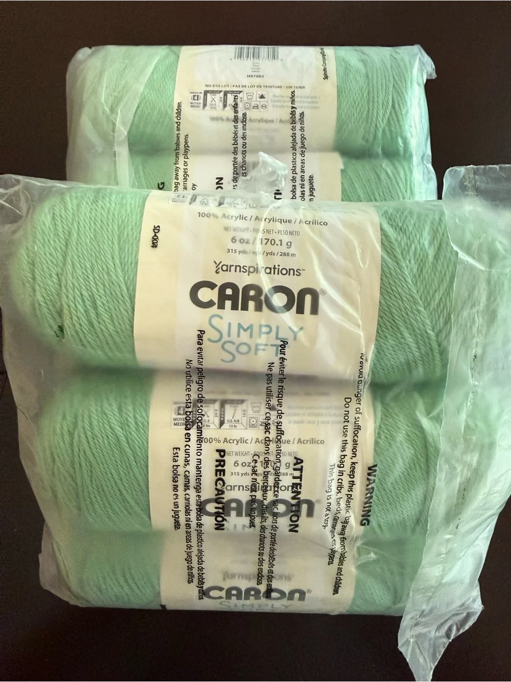 Carbon Simply Soft Acrylic Yarn - Mint Green - Sage